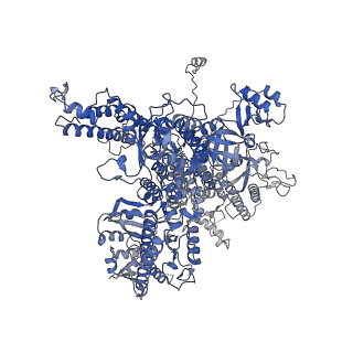 14469_7z30_A_v1-0
Structure of yeast RNA Polymerase III-Ty1 integrase complex at 2.9 A (focus subunit C11 terminal Zn-ribbon in the funnel pore).