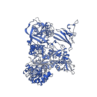 14469_7z30_B_v1-0
Structure of yeast RNA Polymerase III-Ty1 integrase complex at 2.9 A (focus subunit C11 terminal Zn-ribbon in the funnel pore).