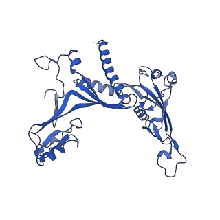 14469_7z30_C_v1-0
Structure of yeast RNA Polymerase III-Ty1 integrase complex at 2.9 A (focus subunit C11 terminal Zn-ribbon in the funnel pore).