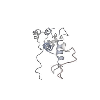 14469_7z30_D_v1-0
Structure of yeast RNA Polymerase III-Ty1 integrase complex at 2.9 A (focus subunit C11 terminal Zn-ribbon in the funnel pore).