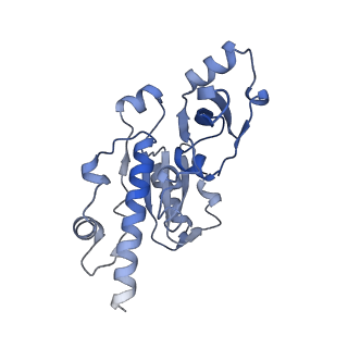 14469_7z30_E_v1-0
Structure of yeast RNA Polymerase III-Ty1 integrase complex at 2.9 A (focus subunit C11 terminal Zn-ribbon in the funnel pore).