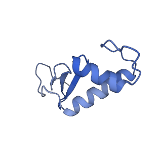 14469_7z30_F_v1-0
Structure of yeast RNA Polymerase III-Ty1 integrase complex at 2.9 A (focus subunit C11 terminal Zn-ribbon in the funnel pore).