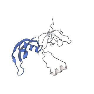 14469_7z30_G_v1-0
Structure of yeast RNA Polymerase III-Ty1 integrase complex at 2.9 A (focus subunit C11 terminal Zn-ribbon in the funnel pore).
