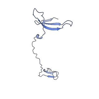 14469_7z30_I_v1-0
Structure of yeast RNA Polymerase III-Ty1 integrase complex at 2.9 A (focus subunit C11 terminal Zn-ribbon in the funnel pore).