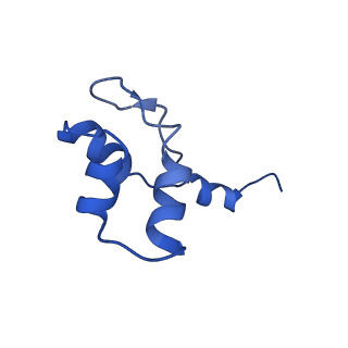 14469_7z30_J_v1-0
Structure of yeast RNA Polymerase III-Ty1 integrase complex at 2.9 A (focus subunit C11 terminal Zn-ribbon in the funnel pore).