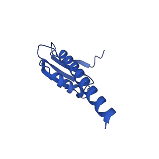 14469_7z30_K_v1-0
Structure of yeast RNA Polymerase III-Ty1 integrase complex at 2.9 A (focus subunit C11 terminal Zn-ribbon in the funnel pore).