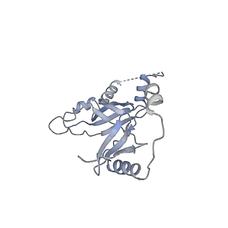 14469_7z30_M_v1-0
Structure of yeast RNA Polymerase III-Ty1 integrase complex at 2.9 A (focus subunit C11 terminal Zn-ribbon in the funnel pore).