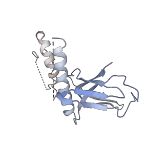 14469_7z30_N_v1-0
Structure of yeast RNA Polymerase III-Ty1 integrase complex at 2.9 A (focus subunit C11 terminal Zn-ribbon in the funnel pore).