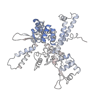 14469_7z30_O_v1-0
Structure of yeast RNA Polymerase III-Ty1 integrase complex at 2.9 A (focus subunit C11 terminal Zn-ribbon in the funnel pore).