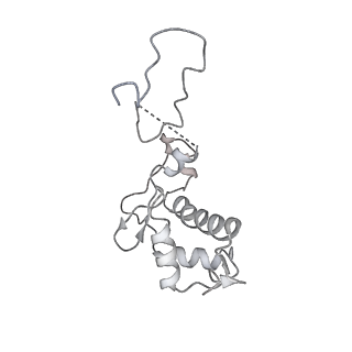 14469_7z30_P_v1-0
Structure of yeast RNA Polymerase III-Ty1 integrase complex at 2.9 A (focus subunit C11 terminal Zn-ribbon in the funnel pore).