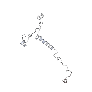 14469_7z30_Q_v1-0
Structure of yeast RNA Polymerase III-Ty1 integrase complex at 2.9 A (focus subunit C11 terminal Zn-ribbon in the funnel pore).