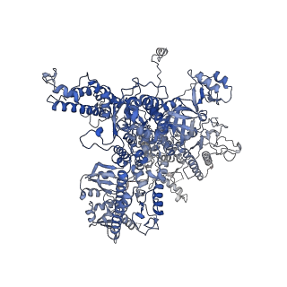 14470_7z31_A_v1-0
Structure of yeast RNA Polymerase III-Ty1 integrase complex at 2.7 A (focus subunit C11, no C11 C-terminal Zn-ribbon in the funnel pore).