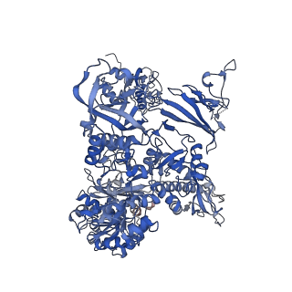 14470_7z31_B_v1-0
Structure of yeast RNA Polymerase III-Ty1 integrase complex at 2.7 A (focus subunit C11, no C11 C-terminal Zn-ribbon in the funnel pore).