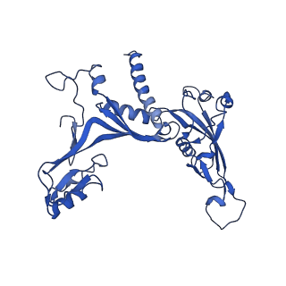 14470_7z31_C_v1-0
Structure of yeast RNA Polymerase III-Ty1 integrase complex at 2.7 A (focus subunit C11, no C11 C-terminal Zn-ribbon in the funnel pore).
