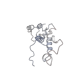 14470_7z31_D_v1-0
Structure of yeast RNA Polymerase III-Ty1 integrase complex at 2.7 A (focus subunit C11, no C11 C-terminal Zn-ribbon in the funnel pore).