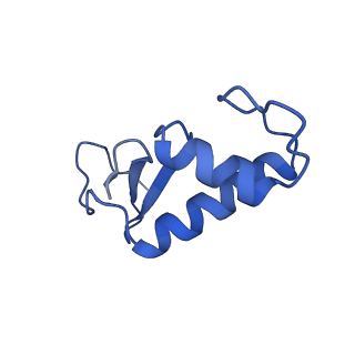 14470_7z31_F_v1-0
Structure of yeast RNA Polymerase III-Ty1 integrase complex at 2.7 A (focus subunit C11, no C11 C-terminal Zn-ribbon in the funnel pore).