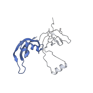 14470_7z31_G_v1-0
Structure of yeast RNA Polymerase III-Ty1 integrase complex at 2.7 A (focus subunit C11, no C11 C-terminal Zn-ribbon in the funnel pore).