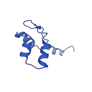 14470_7z31_J_v1-0
Structure of yeast RNA Polymerase III-Ty1 integrase complex at 2.7 A (focus subunit C11, no C11 C-terminal Zn-ribbon in the funnel pore).