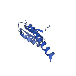 14470_7z31_K_v1-0
Structure of yeast RNA Polymerase III-Ty1 integrase complex at 2.7 A (focus subunit C11, no C11 C-terminal Zn-ribbon in the funnel pore).