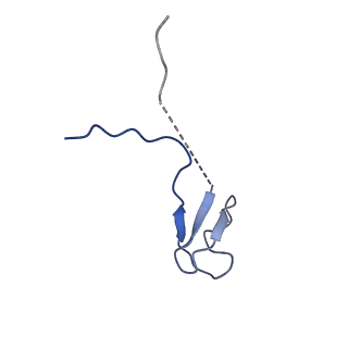 14470_7z31_L_v1-0
Structure of yeast RNA Polymerase III-Ty1 integrase complex at 2.7 A (focus subunit C11, no C11 C-terminal Zn-ribbon in the funnel pore).