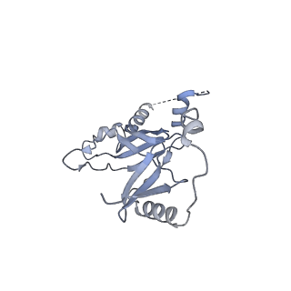 14470_7z31_M_v1-0
Structure of yeast RNA Polymerase III-Ty1 integrase complex at 2.7 A (focus subunit C11, no C11 C-terminal Zn-ribbon in the funnel pore).