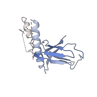 14470_7z31_N_v1-0
Structure of yeast RNA Polymerase III-Ty1 integrase complex at 2.7 A (focus subunit C11, no C11 C-terminal Zn-ribbon in the funnel pore).