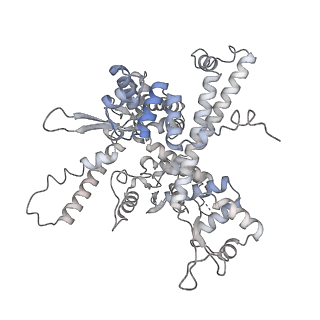 14470_7z31_O_v1-0
Structure of yeast RNA Polymerase III-Ty1 integrase complex at 2.7 A (focus subunit C11, no C11 C-terminal Zn-ribbon in the funnel pore).