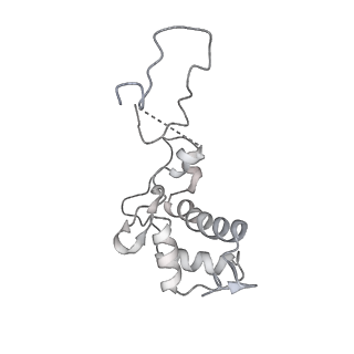 14470_7z31_P_v1-0
Structure of yeast RNA Polymerase III-Ty1 integrase complex at 2.7 A (focus subunit C11, no C11 C-terminal Zn-ribbon in the funnel pore).