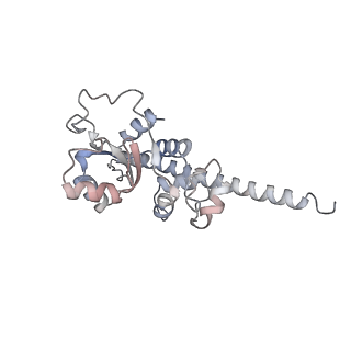 14471_7z34_F_v1-1
Structure of pre-60S particle bound to DRG1(AFG2).