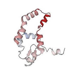 14471_7z34_I_v1-1
Structure of pre-60S particle bound to DRG1(AFG2).