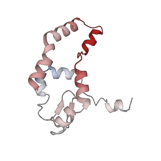 14471_7z34_I_v2-0
Structure of pre-60S particle bound to DRG1(AFG2).