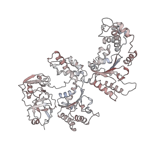 14471_7z34_m_v2-0
Structure of pre-60S particle bound to DRG1(AFG2).