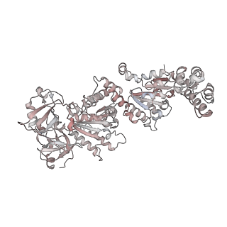 14471_7z34_n_v1-1
Structure of pre-60S particle bound to DRG1(AFG2).