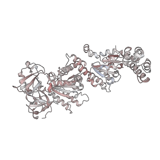 14471_7z34_n_v2-0
Structure of pre-60S particle bound to DRG1(AFG2).