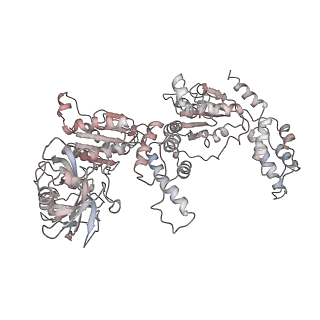 14471_7z34_t_v1-1
Structure of pre-60S particle bound to DRG1(AFG2).