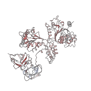 14471_7z34_w_v1-1
Structure of pre-60S particle bound to DRG1(AFG2).