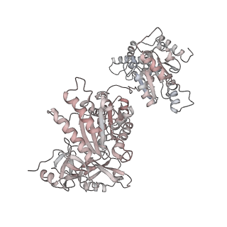 14471_7z34_x_v1-1
Structure of pre-60S particle bound to DRG1(AFG2).