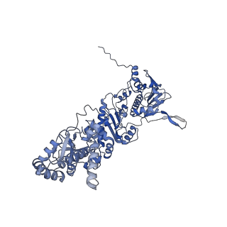 14472_7z37_AP1_v1-1
Structure of the RAF1-HSP90-CDC37 complex (RHC-II)