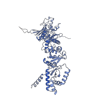 14472_7z37_BP1_v1-1
Structure of the RAF1-HSP90-CDC37 complex (RHC-II)