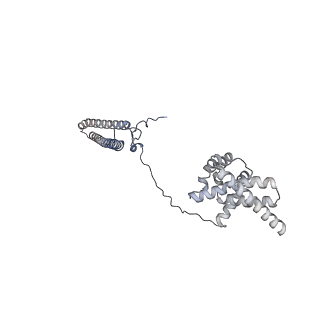 14472_7z37_DP1_v1-1
Structure of the RAF1-HSP90-CDC37 complex (RHC-II)