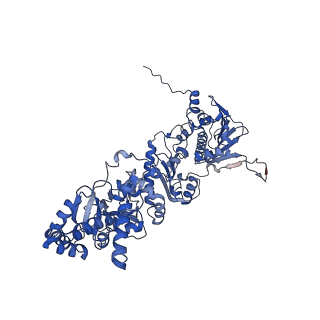 14473_7z38_A_v1-1
Structure of the RAF1-HSP90-CDC37 complex (RHC-I)