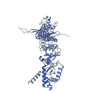 14473_7z38_B_v1-1
Structure of the RAF1-HSP90-CDC37 complex (RHC-I)