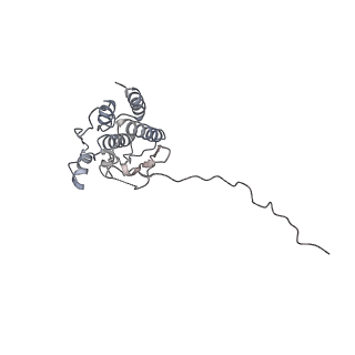 14473_7z38_C_v1-1
Structure of the RAF1-HSP90-CDC37 complex (RHC-I)