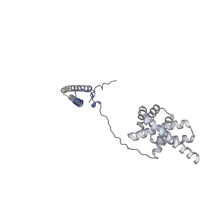 14473_7z38_D_v1-1
Structure of the RAF1-HSP90-CDC37 complex (RHC-I)