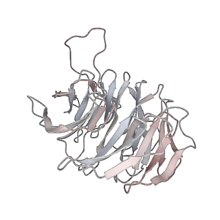 14479_7z3n_A_v1-3
Cryo-EM structure of the ribosome-associated RAC complex on the 80S ribosome - RAC-1 conformation