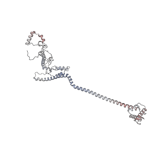 14479_7z3n_C_v1-3
Cryo-EM structure of the ribosome-associated RAC complex on the 80S ribosome - RAC-1 conformation