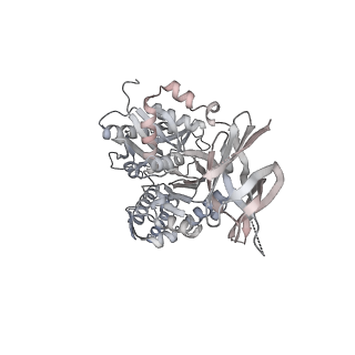 14479_7z3n_D_v1-3
Cryo-EM structure of the ribosome-associated RAC complex on the 80S ribosome - RAC-1 conformation