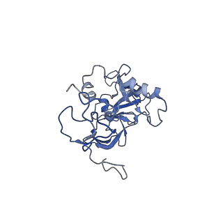 14479_7z3n_LA_v1-3
Cryo-EM structure of the ribosome-associated RAC complex on the 80S ribosome - RAC-1 conformation