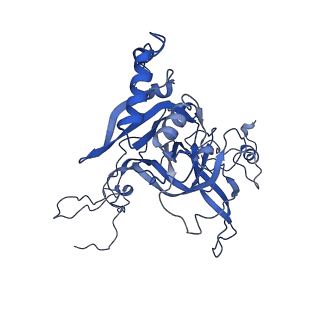 14479_7z3n_LB_v1-3
Cryo-EM structure of the ribosome-associated RAC complex on the 80S ribosome - RAC-1 conformation