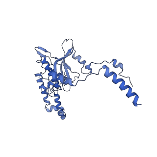 14479_7z3n_LD_v1-3
Cryo-EM structure of the ribosome-associated RAC complex on the 80S ribosome - RAC-1 conformation